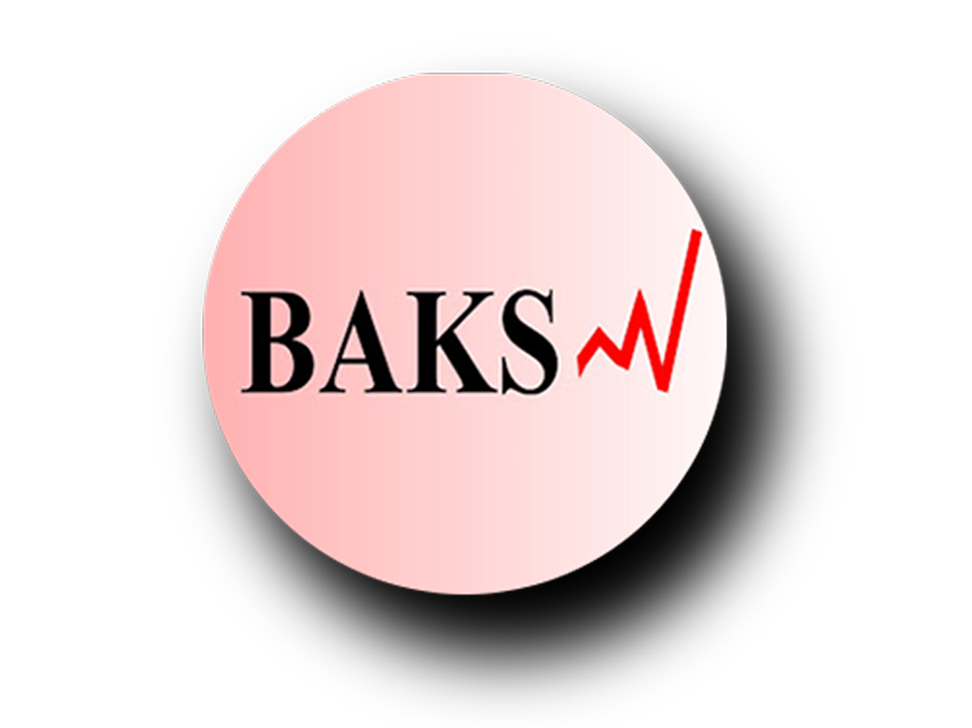 BAKS Media